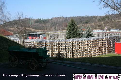 08 402.jpg