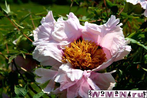 IMG_6839.jpg
