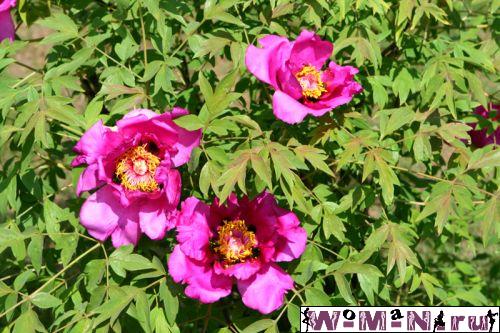 IMG_6825.jpg
